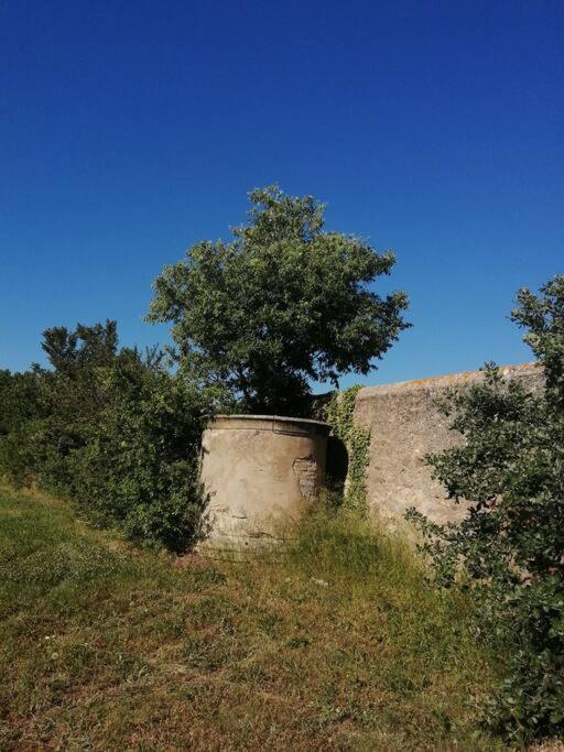 Le Soleil D Eugenie Appartement Dans Residence Avec Piscine Commune Pres De Carcassonne Olonzac Exterior photo